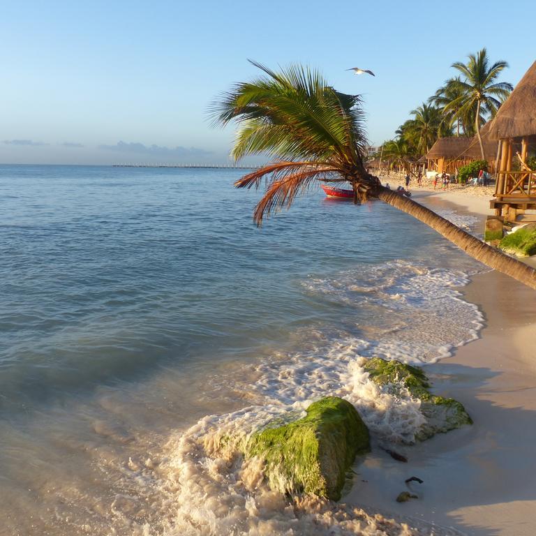 Lilas Del Mar Apartments Playa del Carmen Exteriér fotografie